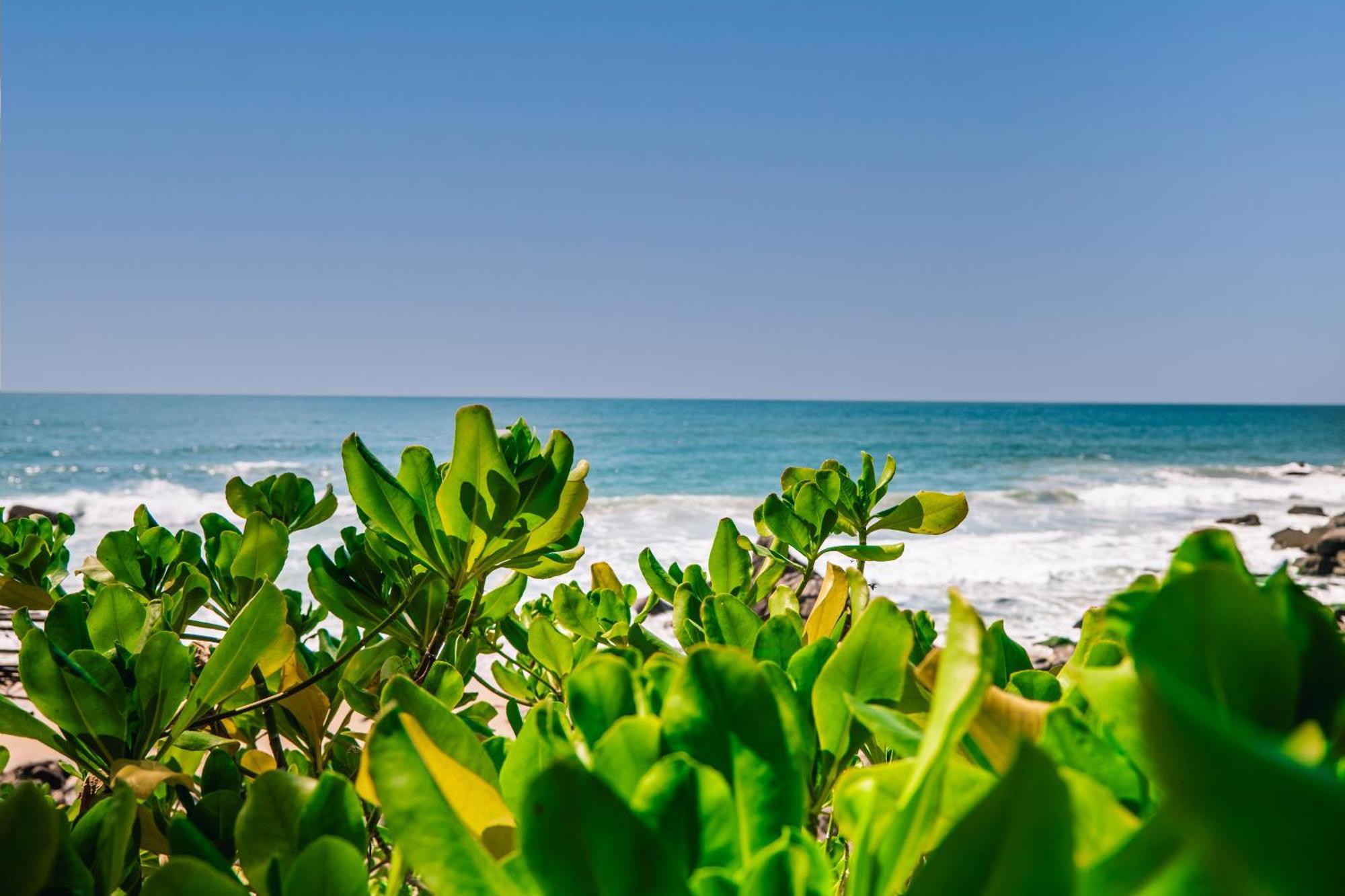 Haramara Retreat Hotel Sayulita Kültér fotó